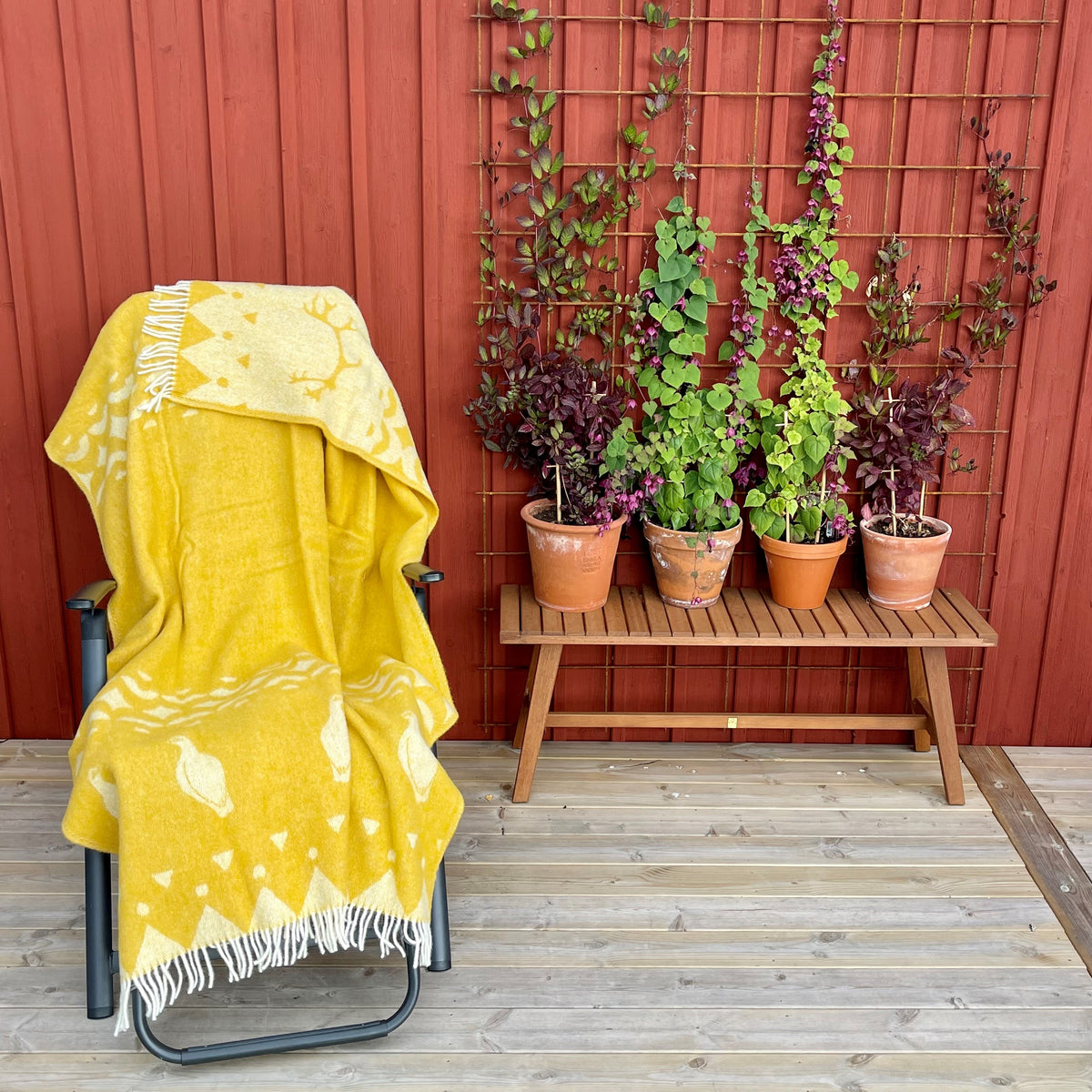 Wool blanket, yellow/white